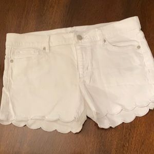 ANN TAYLOR LOFT shorts